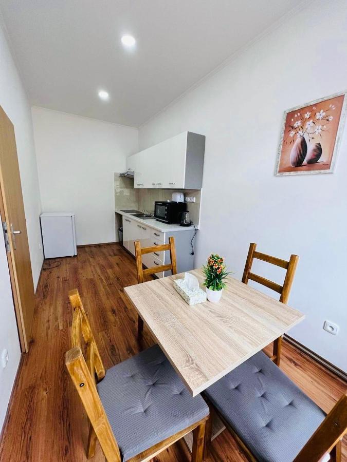 Apartment Erika Karlovy Vary Ngoại thất bức ảnh