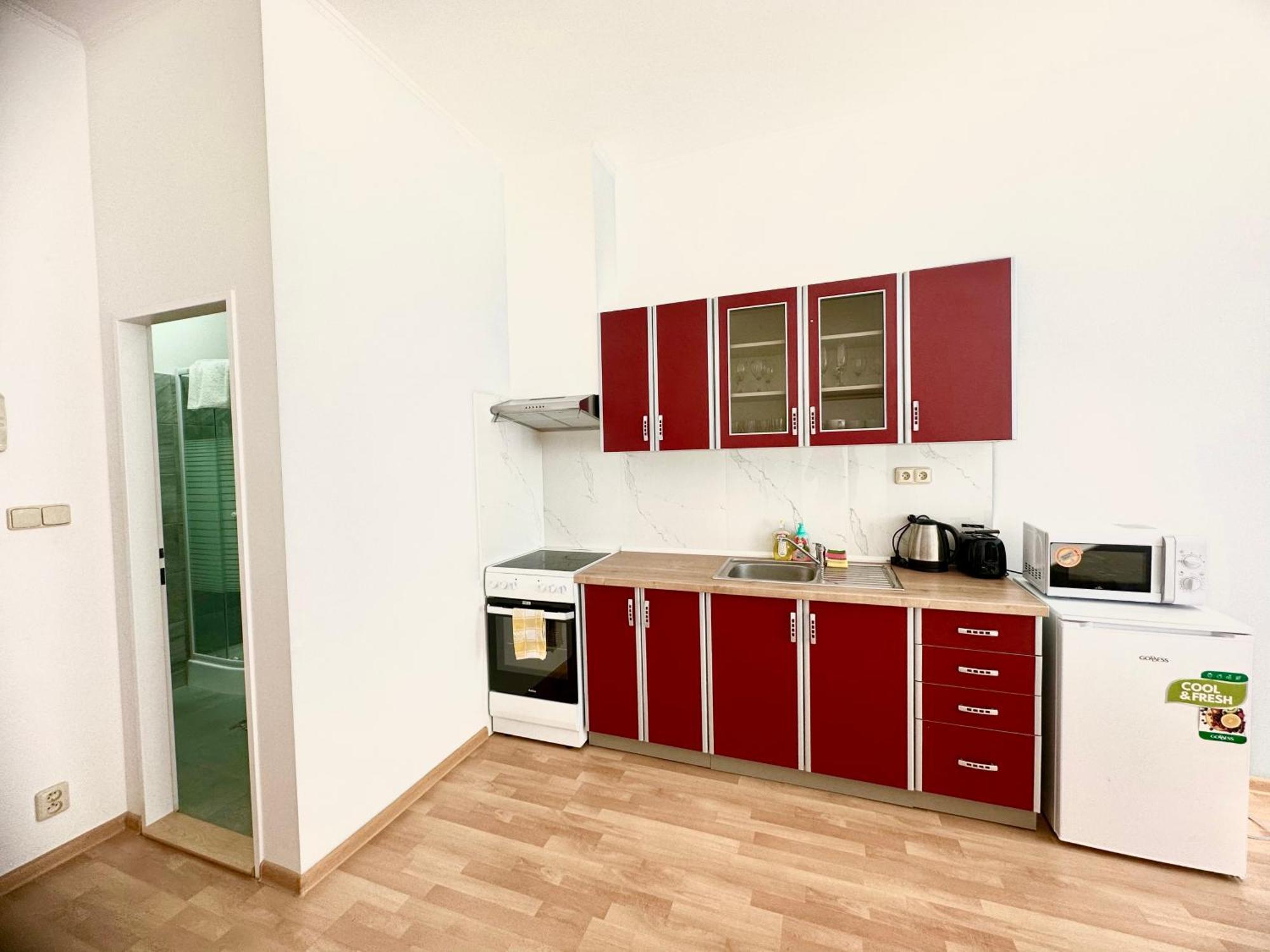 Apartment Erika Karlovy Vary Phòng bức ảnh
